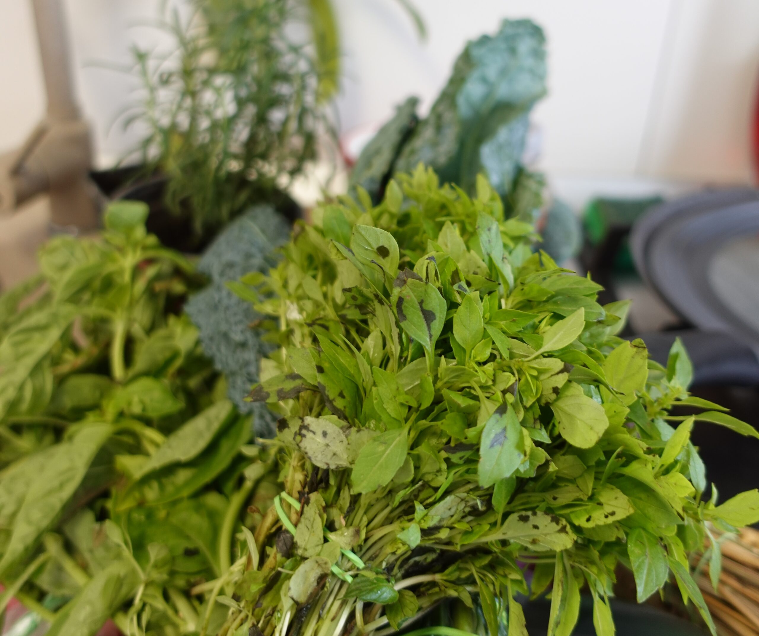 cumpărături de produse naturale - suplimente și superalimente