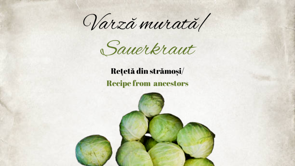 Reteta varza murata din stramosi - probiotic natural - Cristina Catlabuga - Nutriționist Holistic și Wellness Coach